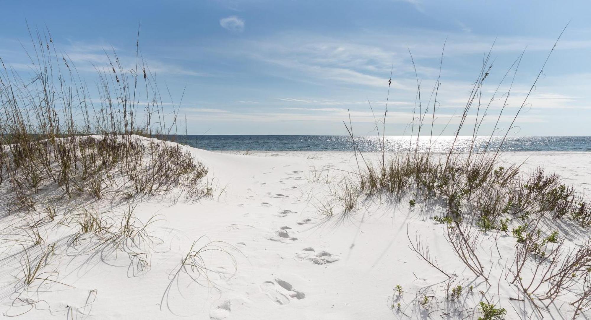 Nautilus 2408 Gulf View 2 Bedroom 4Th Floor Free Beach Service Fort Walton Beach Eksteriør bilde