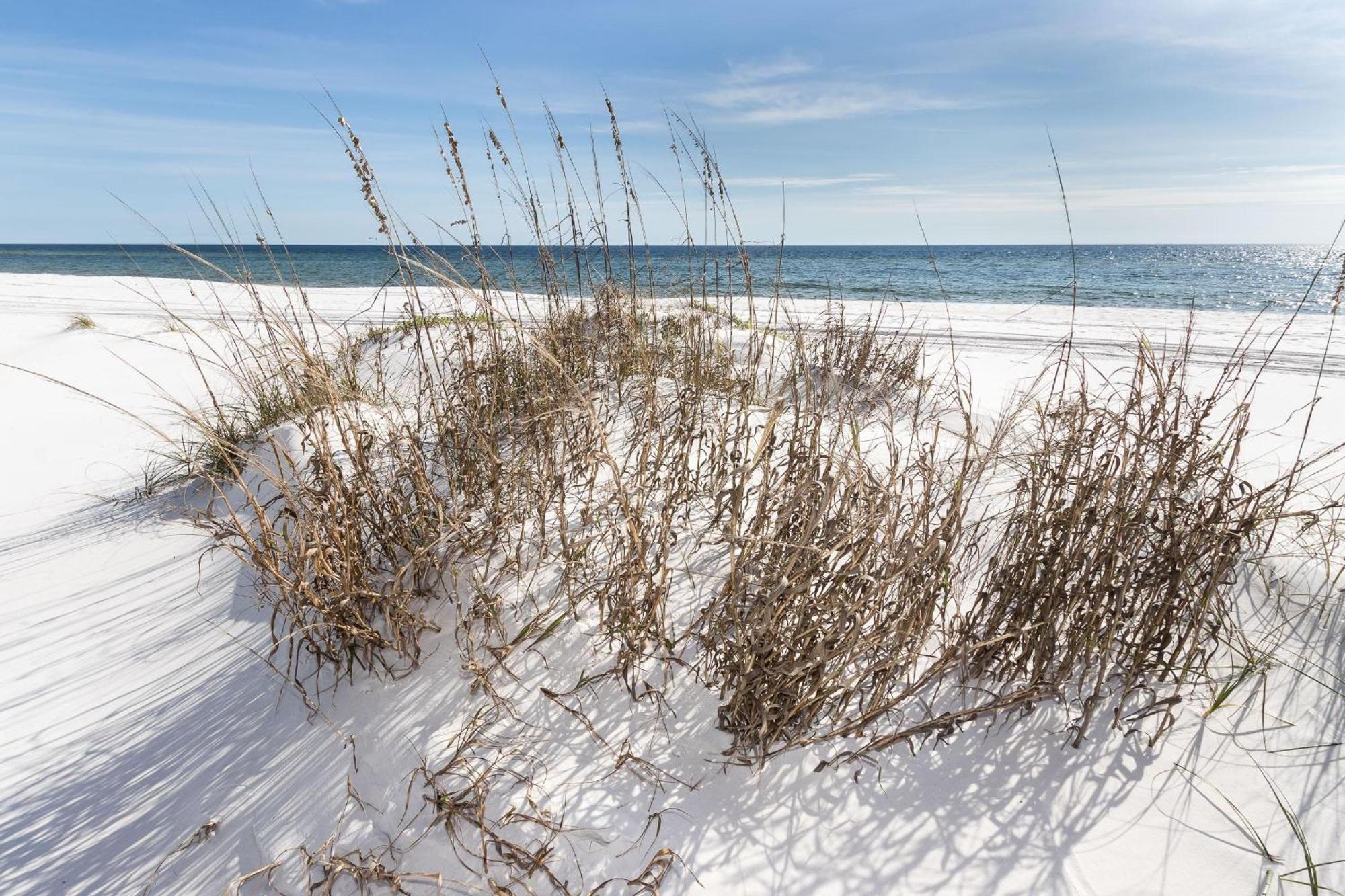 Nautilus 2408 Gulf View 2 Bedroom 4Th Floor Free Beach Service Fort Walton Beach Eksteriør bilde